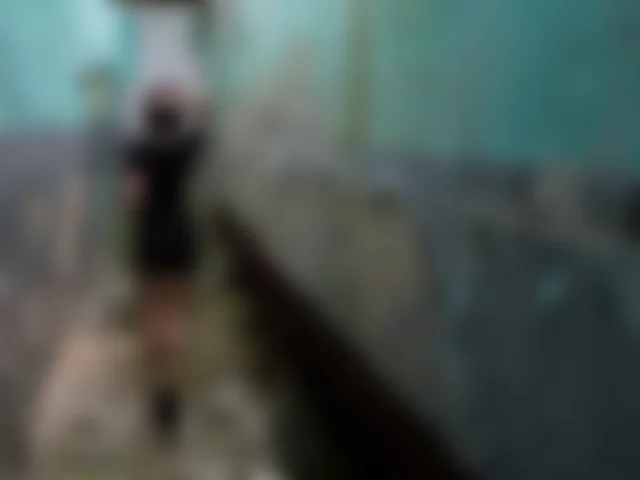 monellaincam image 2